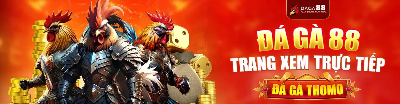 Hình ảnh đá gà trực tuyến sôi động trên gk88bet app